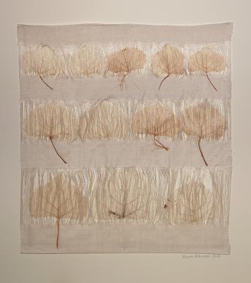 Homage To Populus Fremontii XI